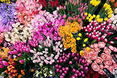 《Roots of Yggdrasil》9月登陆Steam 卡牌建设探索